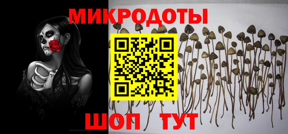 Галлюциногенные грибы прущие грибы Ишимбай